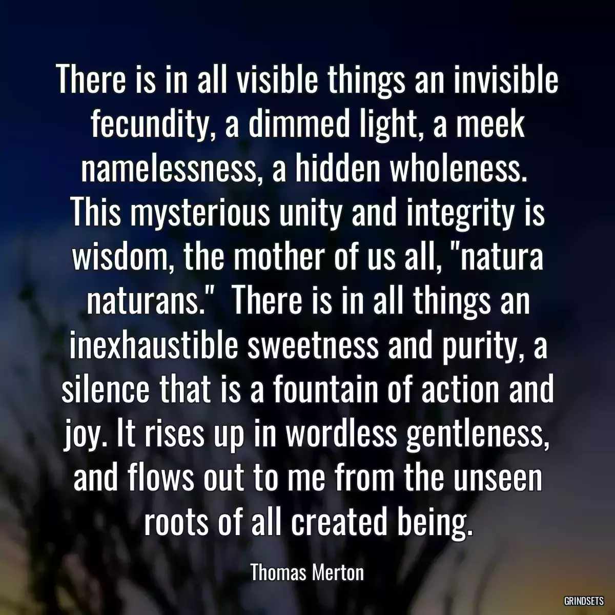 There is in all visible things an invisible fecundity, a dimmed light, a meek namelessness, a hidden wholeness.  This mysterious unity and integrity is wisdom, the mother of us all, \