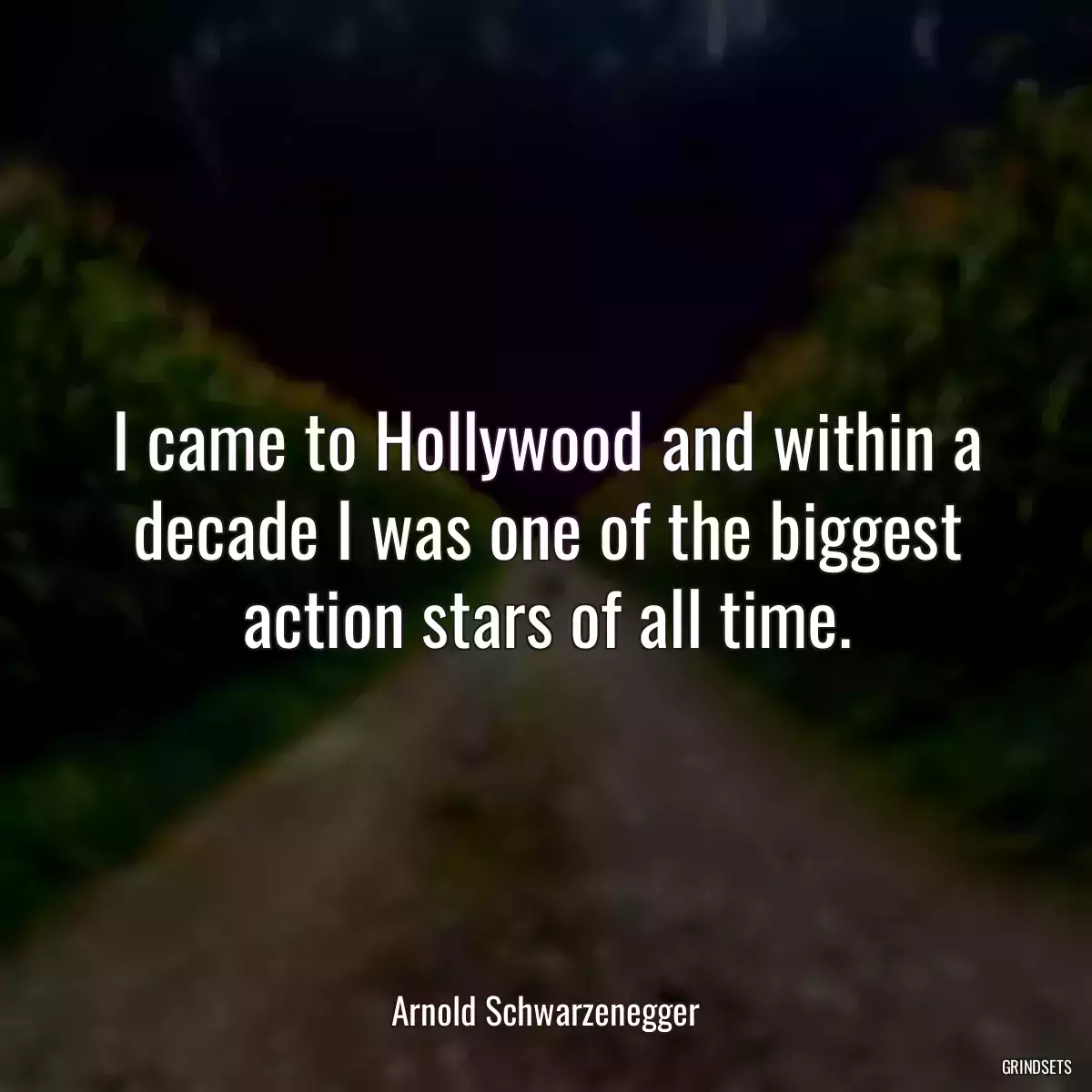 I came to Hollywood and within a decade I was one of the biggest action stars of all time.