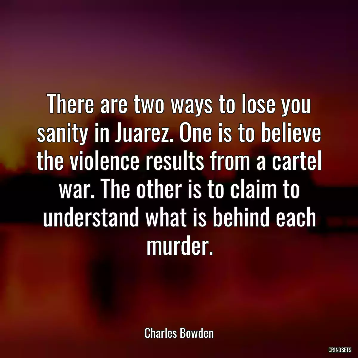 There are two ways to lose you sanity in Juarez. One is to believe the violence results from a cartel war. The other is to claim to understand what is behind each murder.