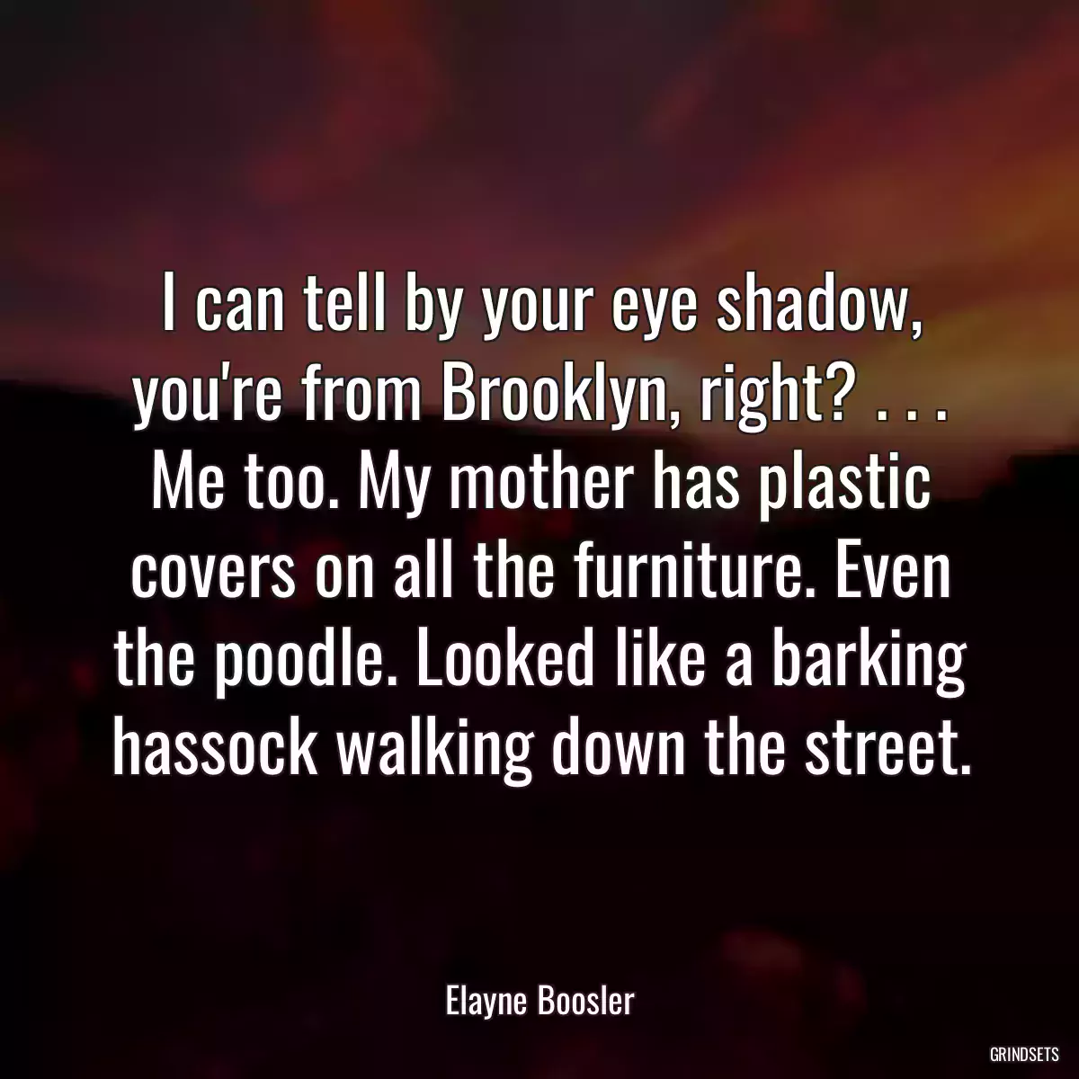 I can tell by your eye shadow, you\'re from Brooklyn, right? . . . Me too. My mother has plastic covers on all the furniture. Even the poodle. Looked like a barking hassock walking down the street.