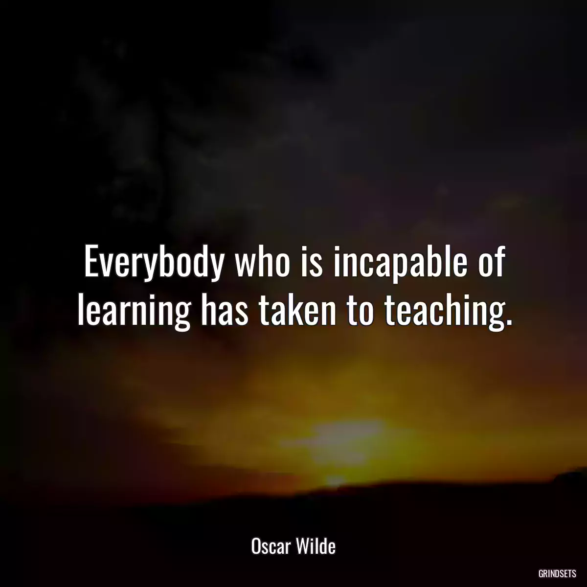 Everybody who is incapable of learning has taken to teaching.