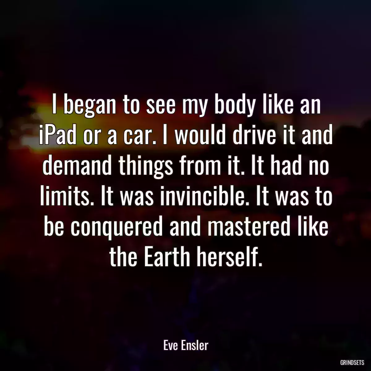 I began to see my body like an iPad or a car. I would drive it and demand things from it. It had no limits. It was invincible. It was to be conquered and mastered like the Earth herself.