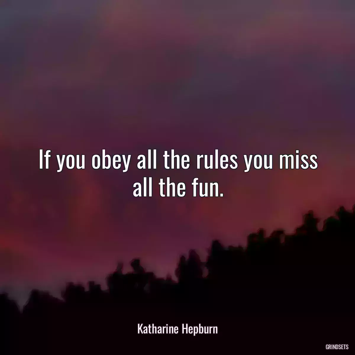 If you obey all the rules you miss all the fun.