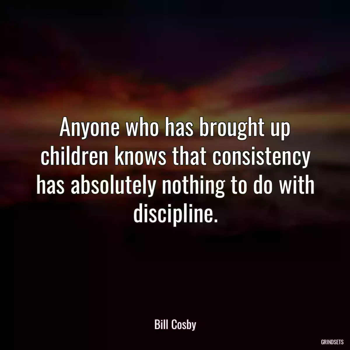 Anyone who has brought up children knows that consistency has absolutely nothing to do with discipline.