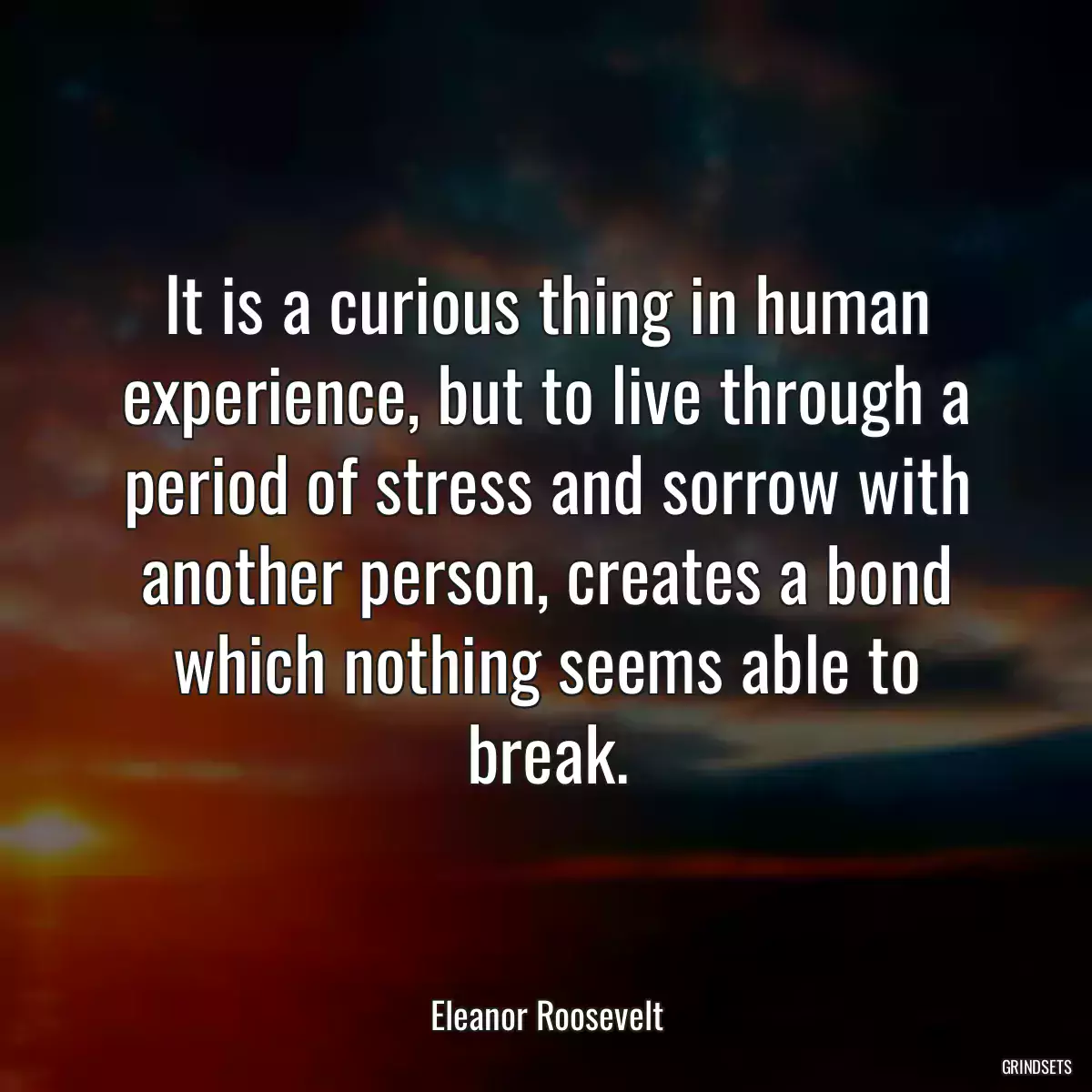 It is a curious thing in human experience, but to live through a period of stress and sorrow with another person, creates a bond which nothing seems able to break.