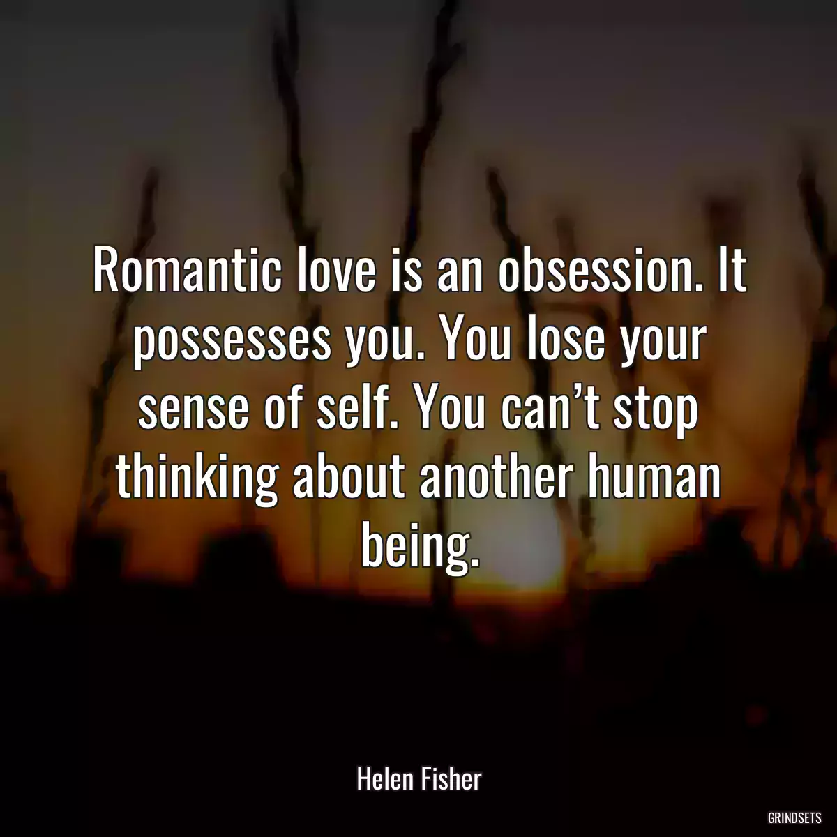 Romantic love is an obsession. It possesses you. You lose your sense of self. You can’t stop thinking about another human being.