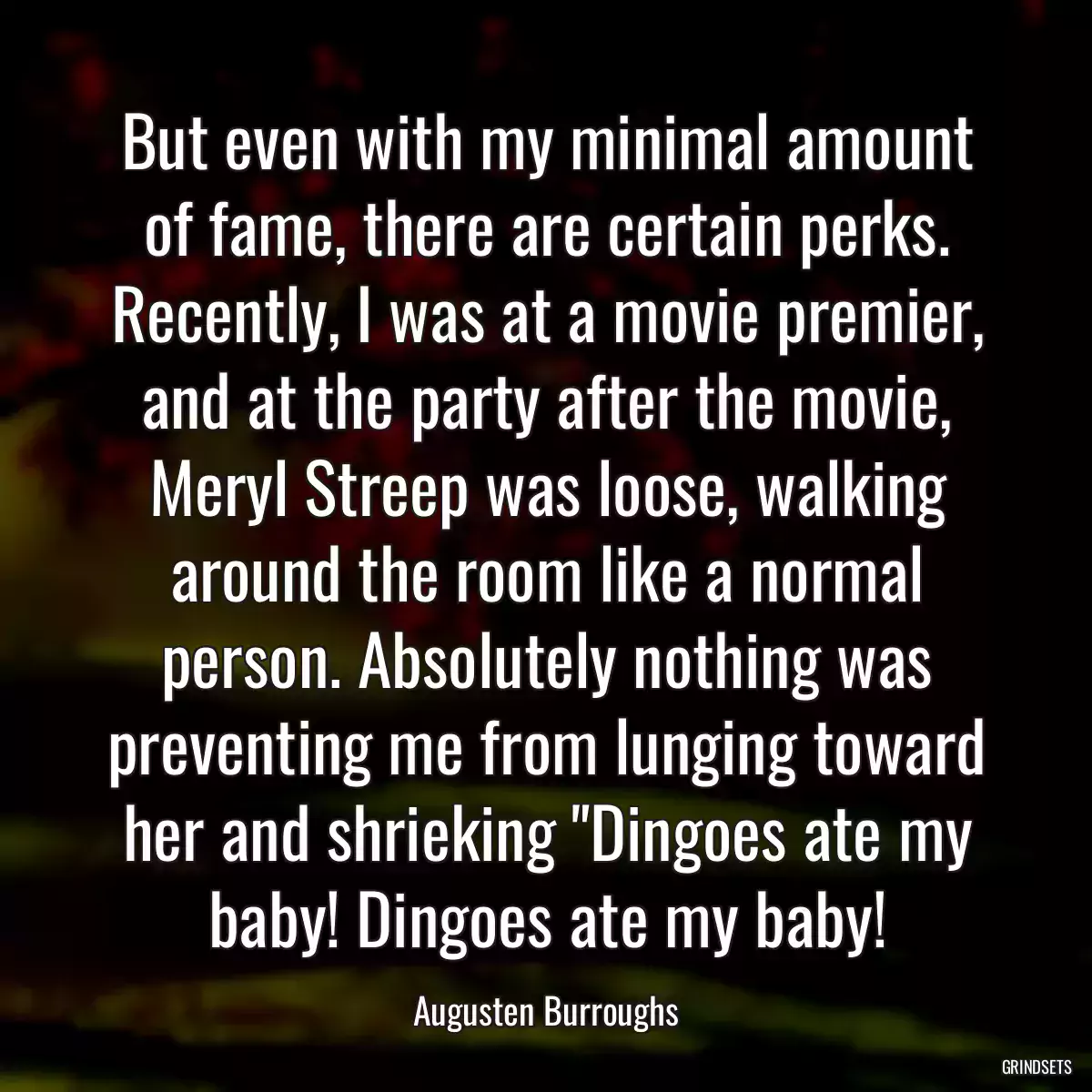 But even with my minimal amount of fame, there are certain perks. Recently, I was at a movie premier, and at the party after the movie, Meryl Streep was loose, walking around the room like a normal person. Absolutely nothing was preventing me from lunging toward her and shrieking \