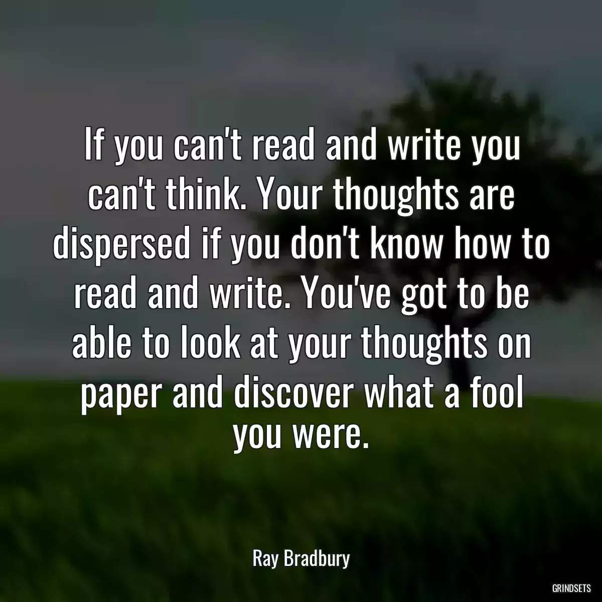 If you can\'t read and write you can\'t think. Your thoughts are dispersed if you don\'t know how to read and write. You\'ve got to be able to look at your thoughts on paper and discover what a fool you were.