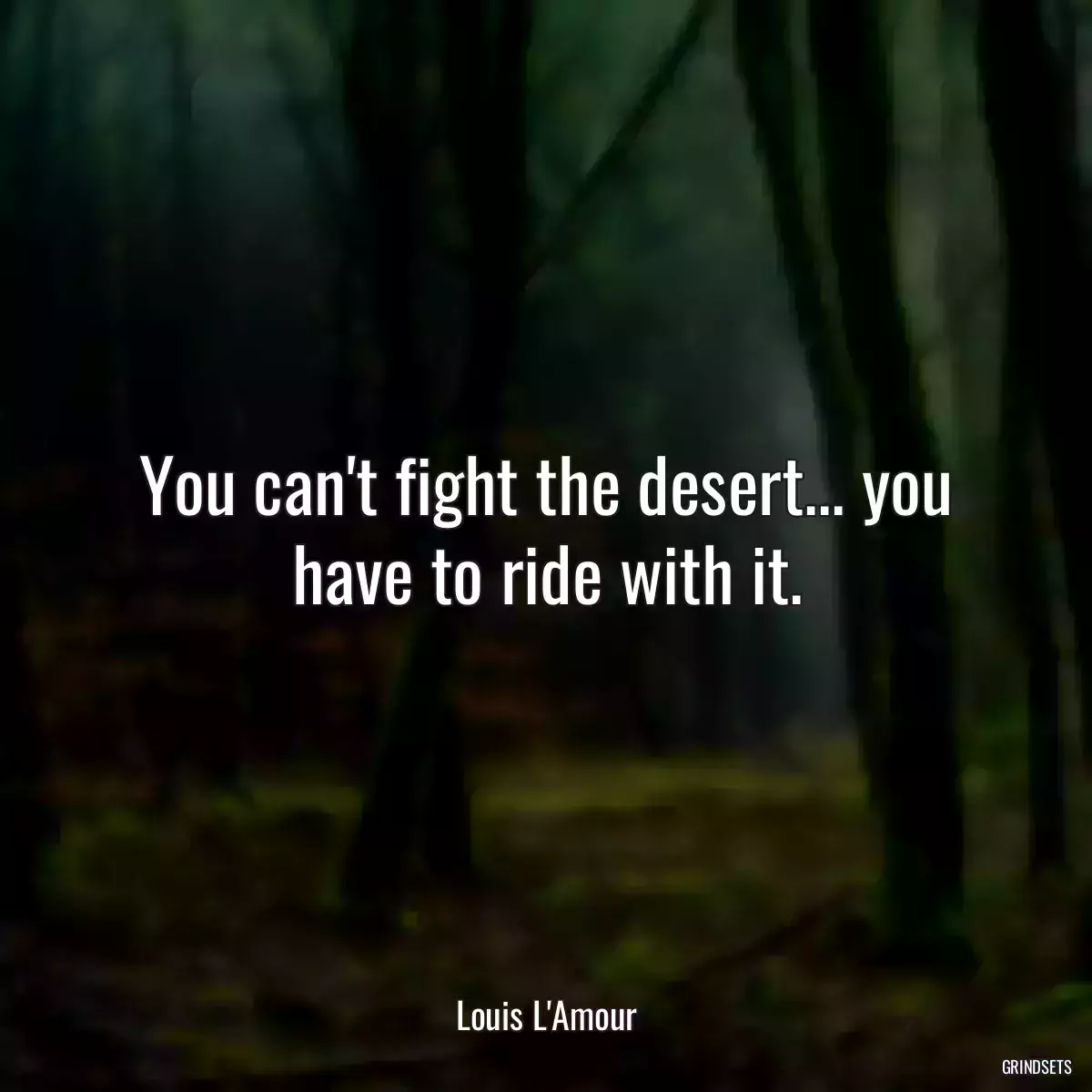 You can\'t fight the desert... you have to ride with it.