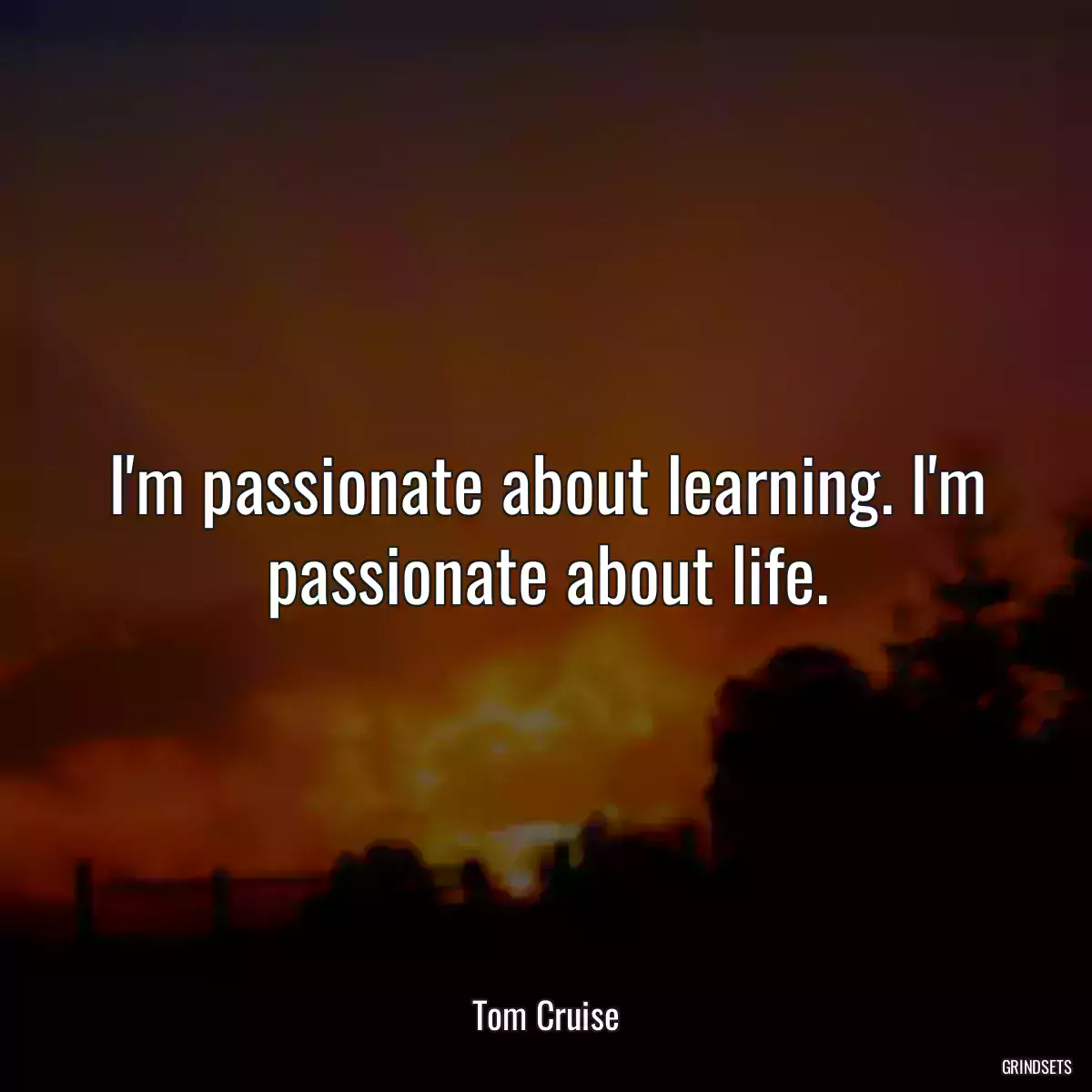 I\'m passionate about learning. I\'m passionate about life.