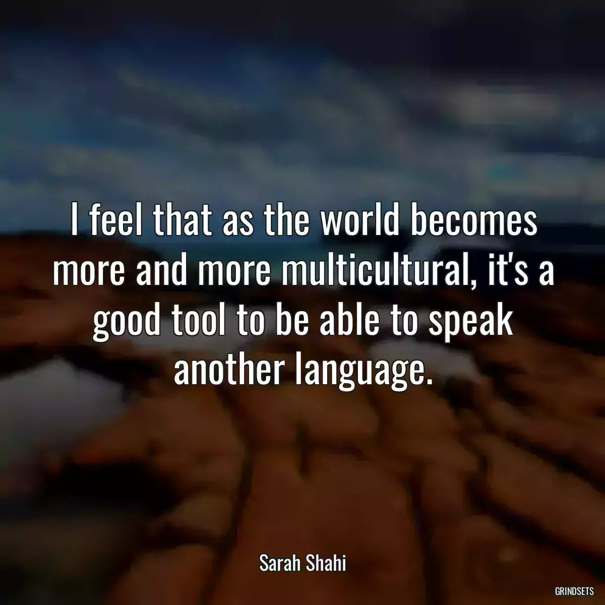 I feel that as the world becomes more and more multicultural, it\'s a good tool to be able to speak another language.