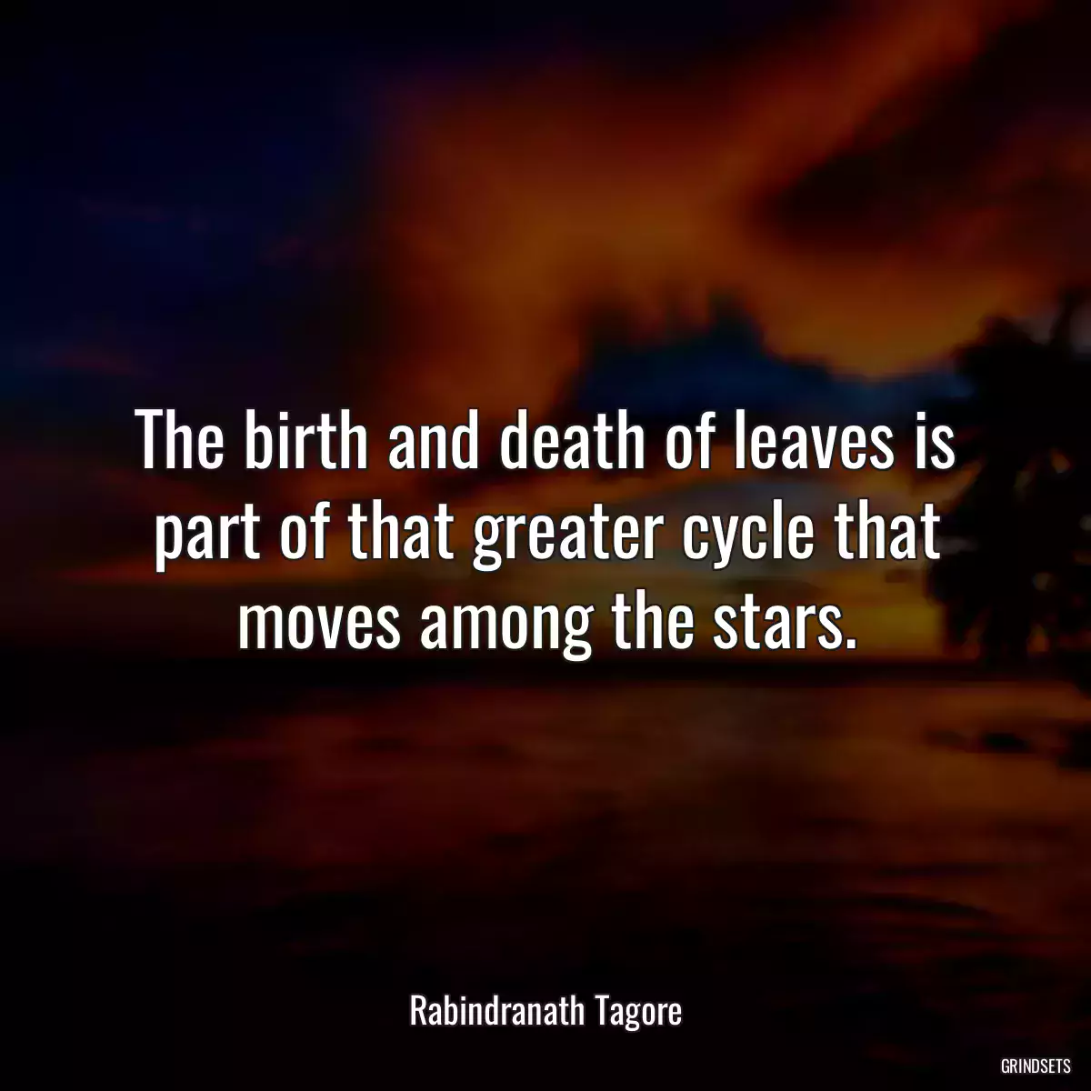 The birth and death of leaves is part of that greater cycle that moves among the stars.