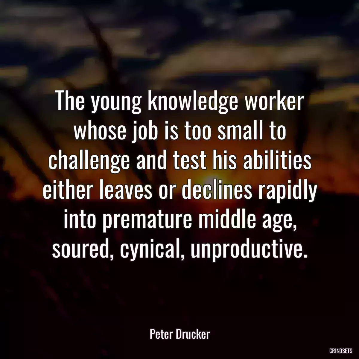 The young knowledge worker whose job is too small to challenge and test his abilities either leaves or declines rapidly into premature middle age, soured, cynical, unproductive.