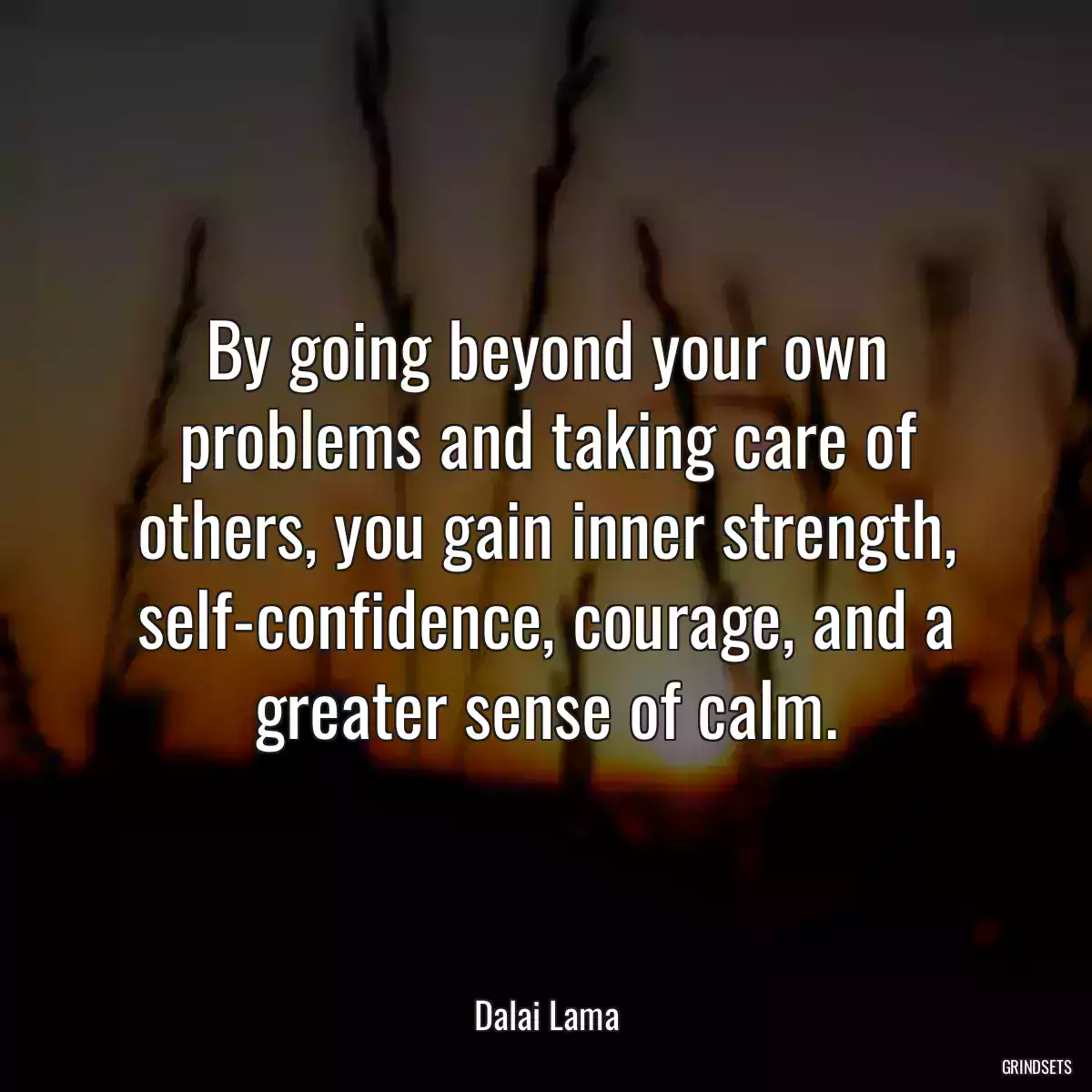 By going beyond your own problems and taking care of others, you gain inner strength, self-confidence, courage, and a greater sense of calm.