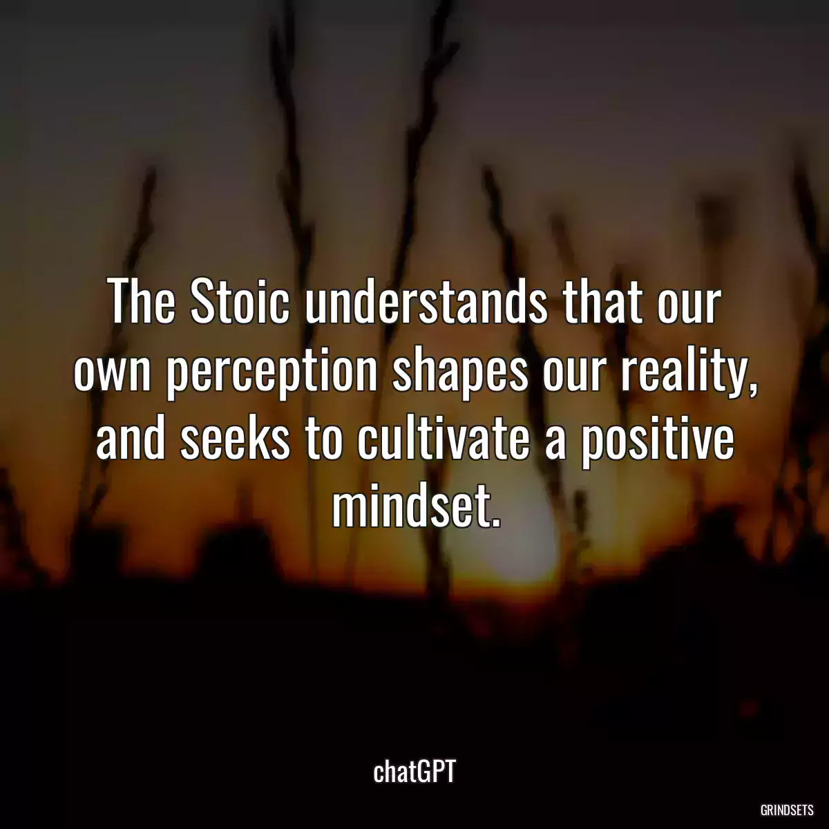 The Stoic understands that our own perception shapes our reality, and seeks to cultivate a positive mindset.