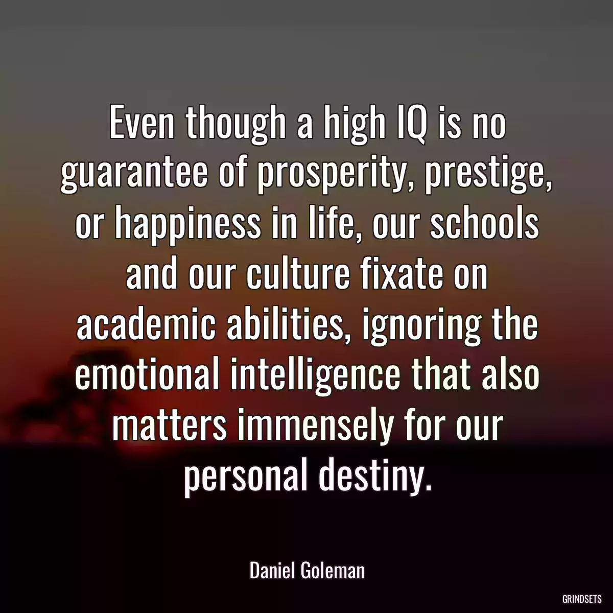 Even though a high IQ is no guarantee of prosperity, prestige,
or happiness in life, our schools and our culture fixate on
academic abilities, ignoring the emotional intelligence that also
matters immensely for our personal destiny.