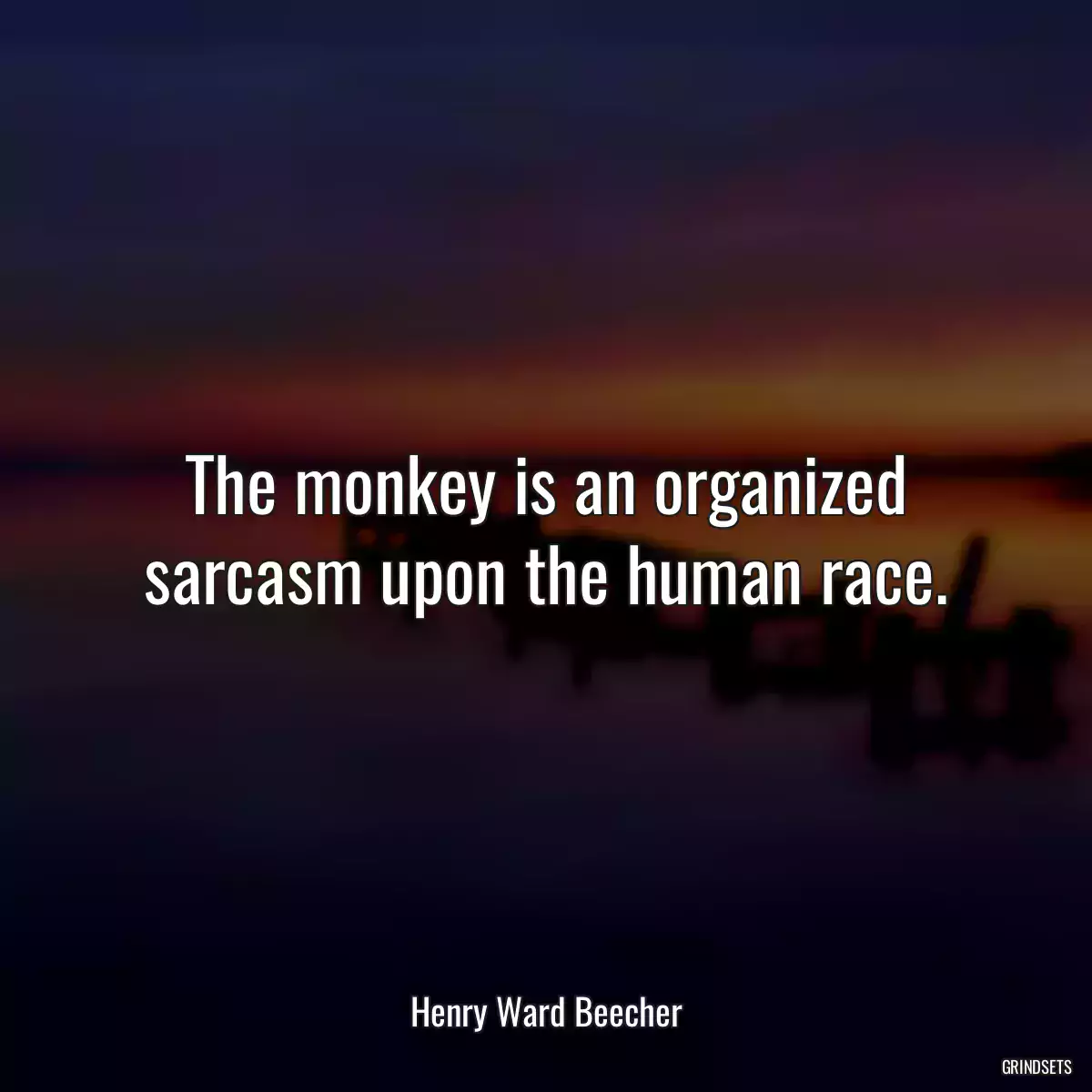 The monkey is an organized sarcasm upon the human race.