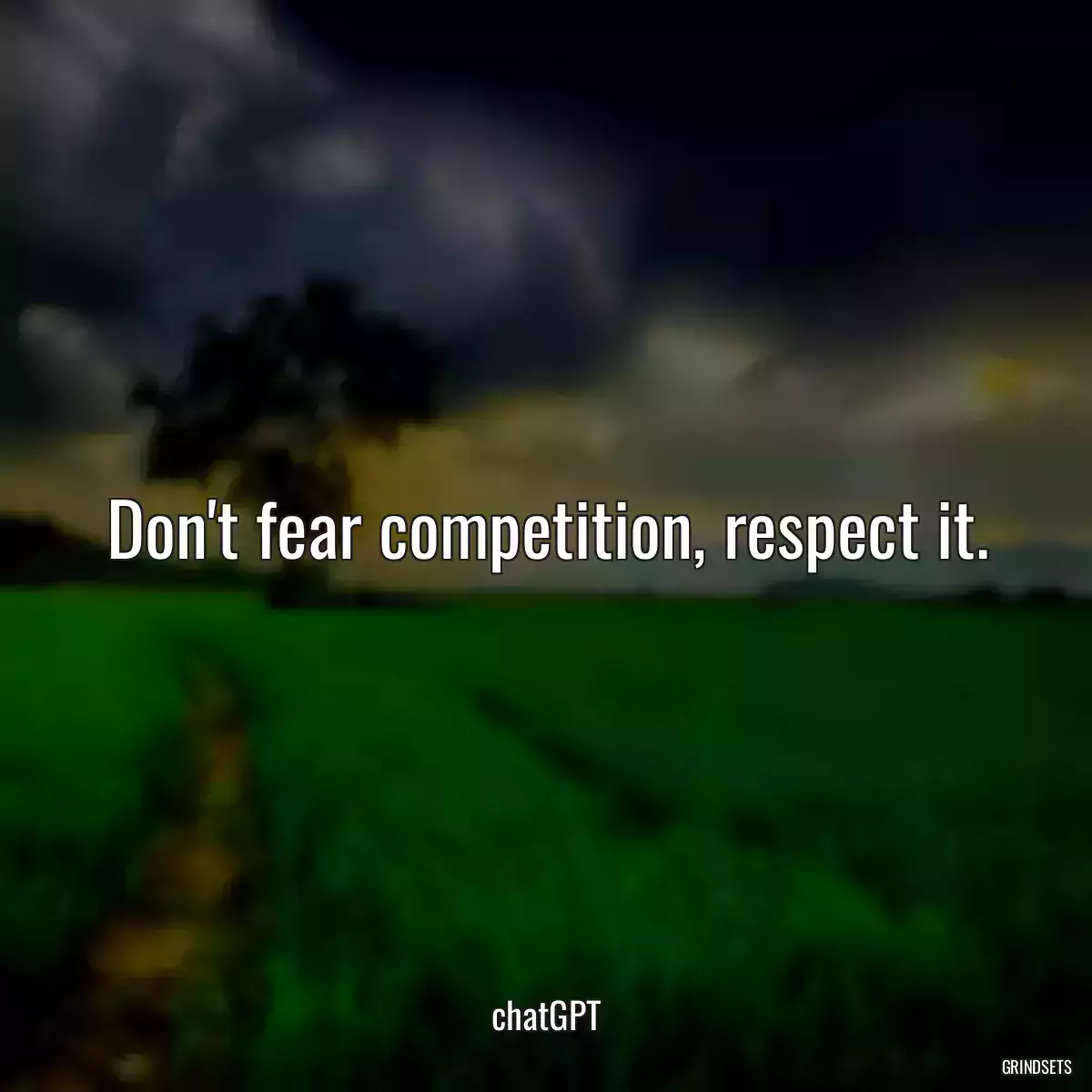 Don\'t fear competition, respect it.