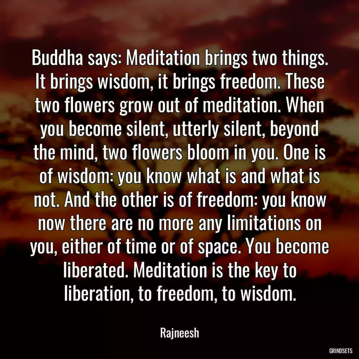 Buddha says: Meditation brings two things. It brings wisdom, it brings freedom. These two flowers grow out of meditation. When you become silent, utterly silent, beyond the mind, two flowers bloom in you. One is of wisdom: you know what is and what is not. And the other is of freedom: you know now there are no more any limitations on you, either of time or of space. You become liberated. Meditation is the key to liberation, to freedom, to wisdom.