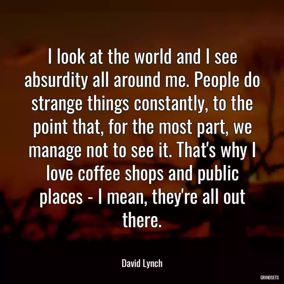 I look at the world and I see absurdity all around me. People do strange things constantly, to the point that, for the most part, we manage not to see it. That\'s why I love coffee shops and public places - I mean, they\'re all out there.