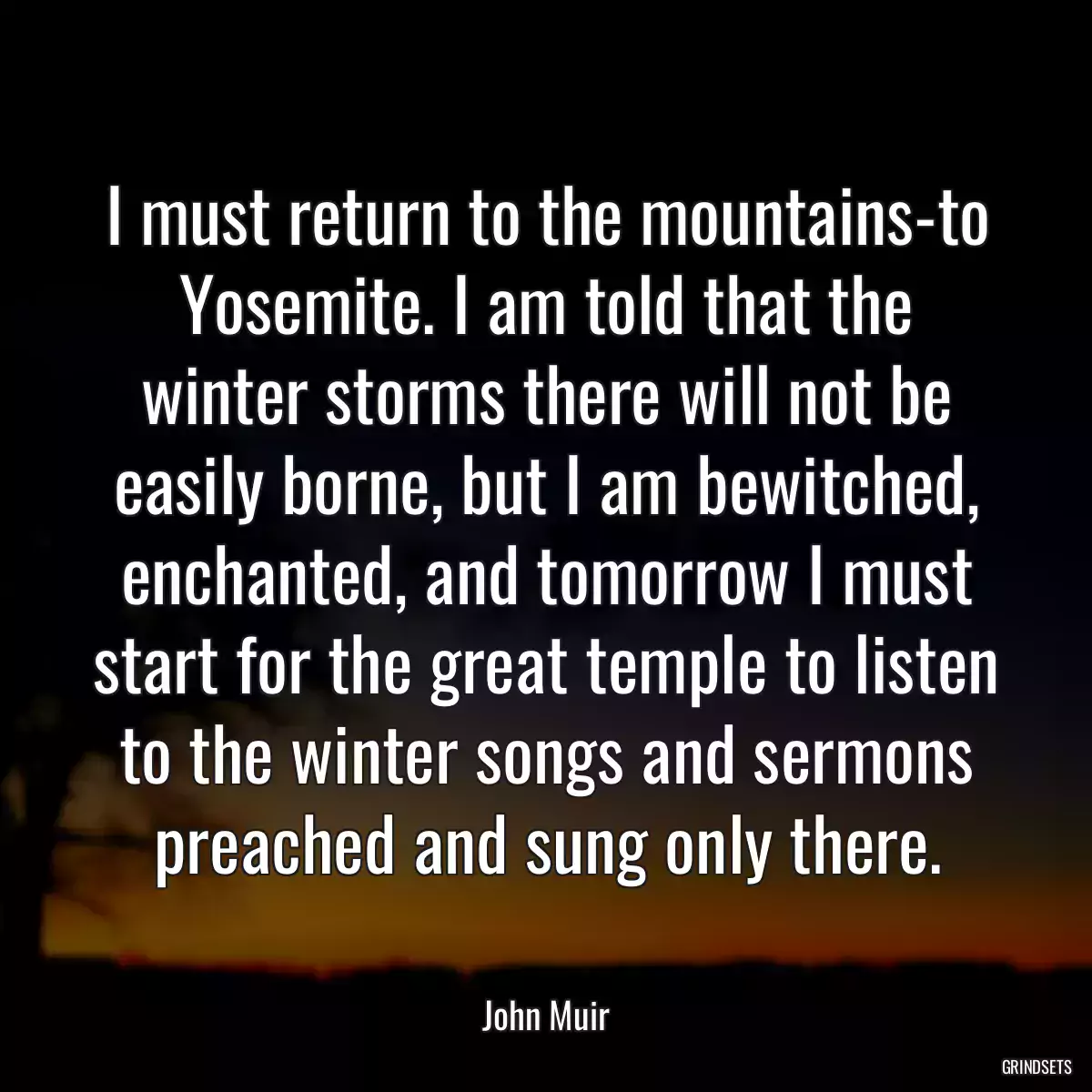 I must return to the mountains-to Yosemite. I am told that the winter storms there will not be easily borne, but I am bewitched, enchanted, and tomorrow I must start for the great temple to listen to the winter songs and sermons preached and sung only there.