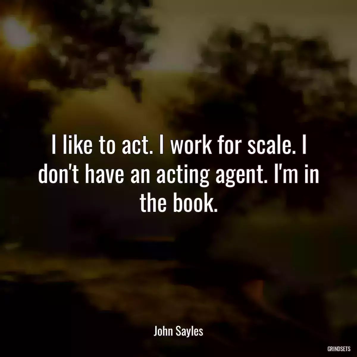 I like to act. I work for scale. I don\'t have an acting agent. I\'m in the book.