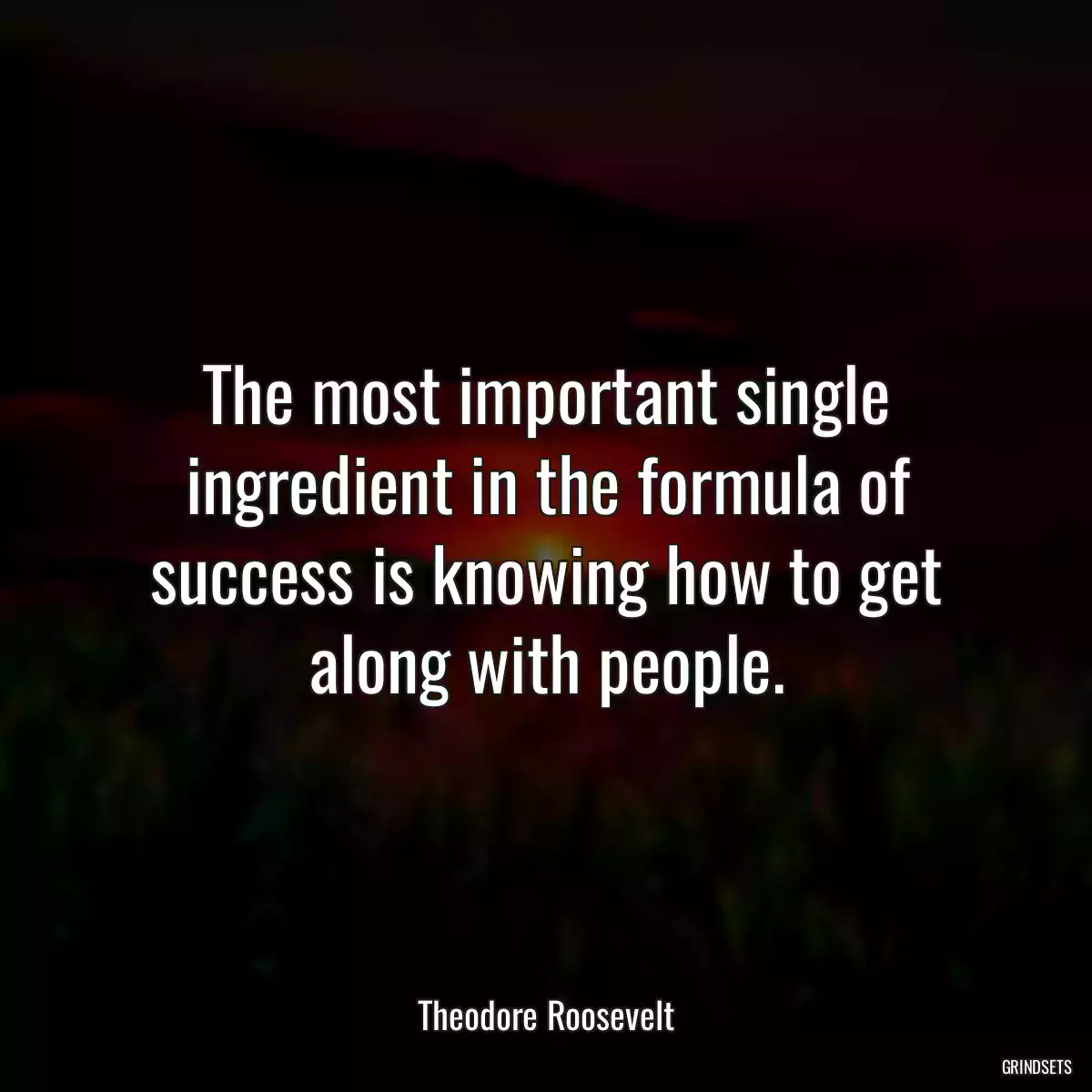 The most important single ingredient in the formula of success is knowing how to get along with people.