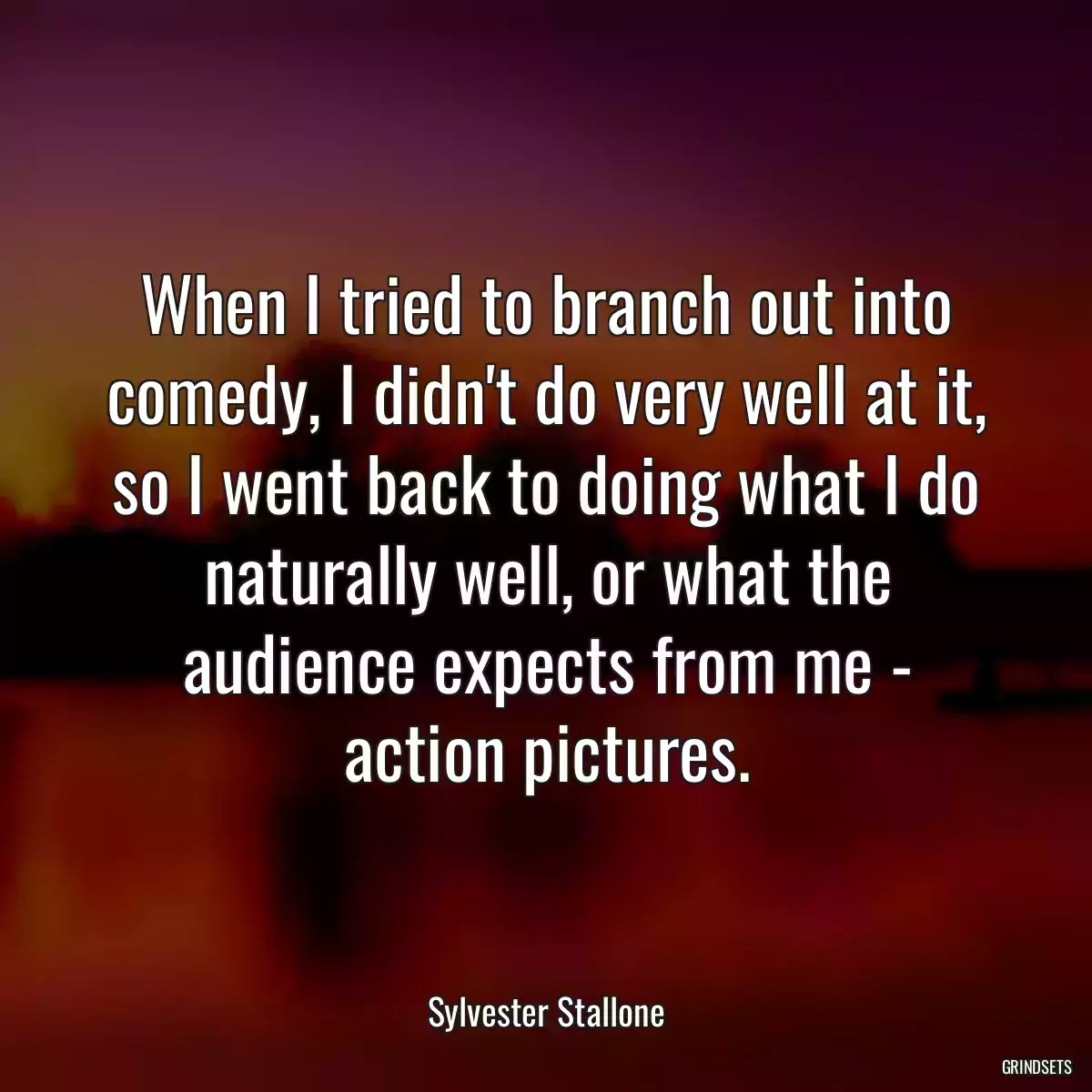 When I tried to branch out into comedy, I didn\'t do very well at it, so I went back to doing what I do naturally well, or what the audience expects from me - action pictures.