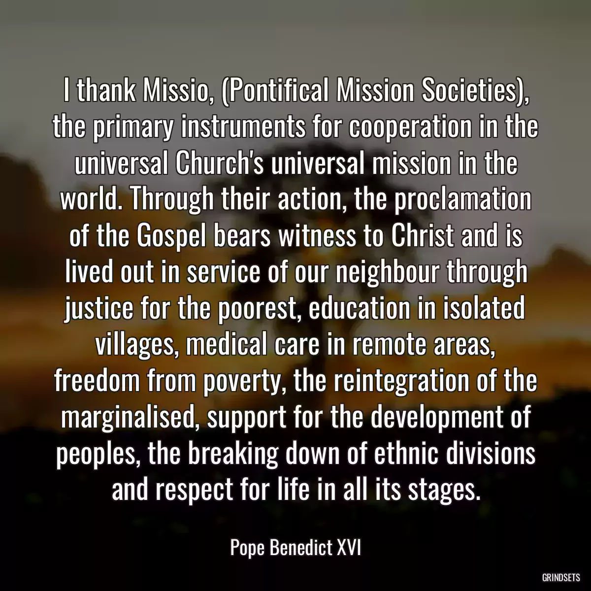 I thank Missio, (Pontifical Mission Societies), the primary instruments for cooperation in the universal Church\'s universal mission in the world. Through their action, the proclamation of the Gospel bears witness to Christ and is lived out in service of our neighbour through justice for the poorest, education in isolated villages, medical care in remote areas, freedom from poverty, the reintegration of the marginalised, support for the development of peoples, the breaking down of ethnic divisions and respect for life in all its stages.