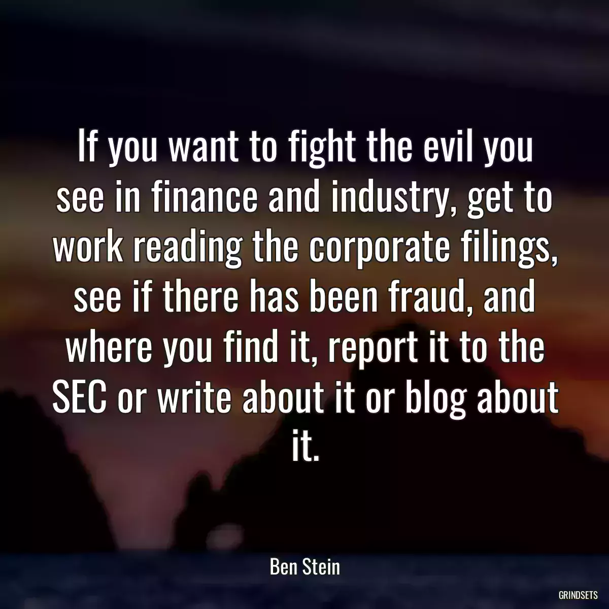 If you want to fight the evil you see in finance and industry, get to work reading the corporate filings, see if there has been fraud, and where you find it, report it to the SEC or write about it or blog about it.