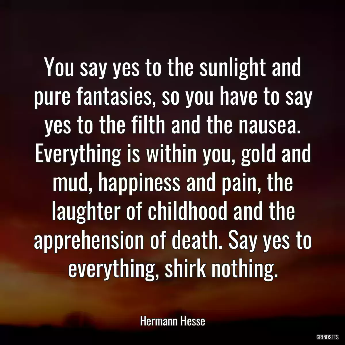 You say yes to the sunlight and pure fantasies, so you have to say yes to the filth and the nausea. Everything is within you, gold and mud, happiness and pain, the laughter of childhood and the apprehension of death. Say yes to everything, shirk nothing.