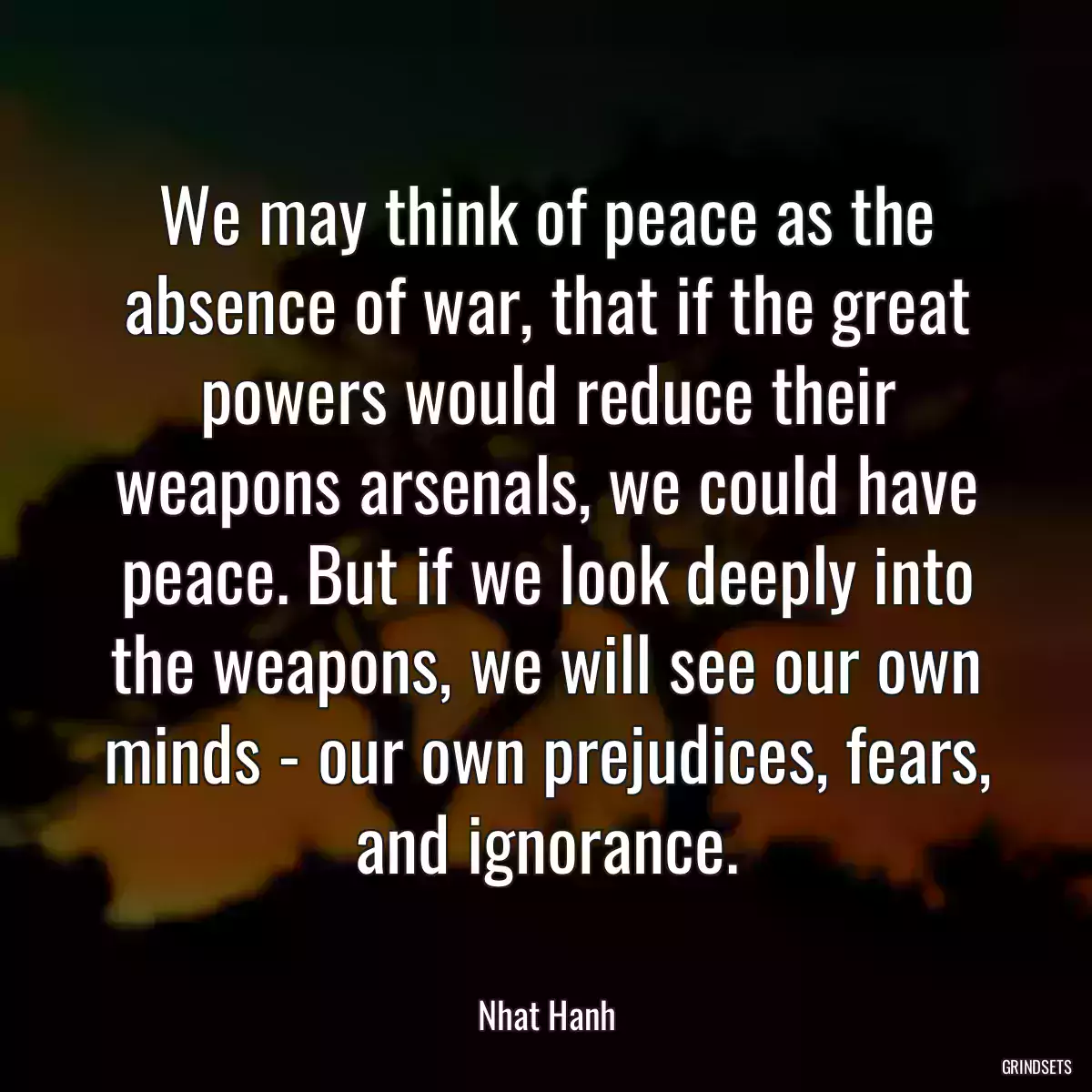 We may think of peace as the absence of war, that if the great powers would reduce their weapons arsenals, we could have peace. But if we look deeply into the weapons, we will see our own minds - our own prejudices, fears, and ignorance.