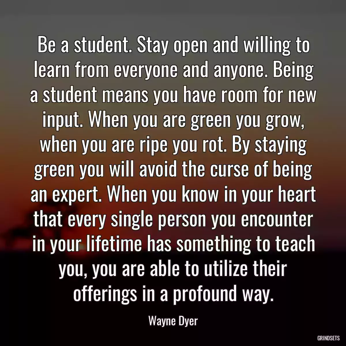 Be a student. Stay open and willing to learn from everyone and anyone. Being a student means you have room for new input. When you are green you grow, when you are ripe you rot. By staying green you will avoid the curse of being an expert. When you know in your heart that every single person you encounter in your lifetime has something to teach you, you are able to utilize their offerings in a profound way.