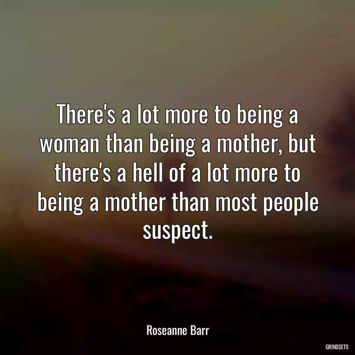 There\'s a lot more to being a woman than being a mother, but there\'s a hell of a lot more to being a mother than most people suspect.