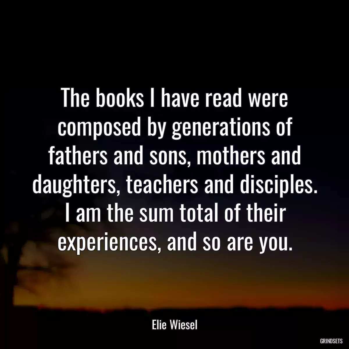 The books I have read were composed by generations of fathers and sons, mothers and daughters, teachers and disciples. I am the sum total of their experiences, and so are you.