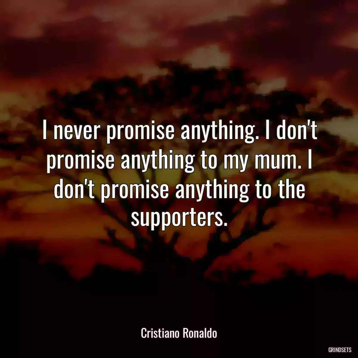 I never promise anything. I don\'t promise anything to my mum. I don\'t promise anything to the supporters.