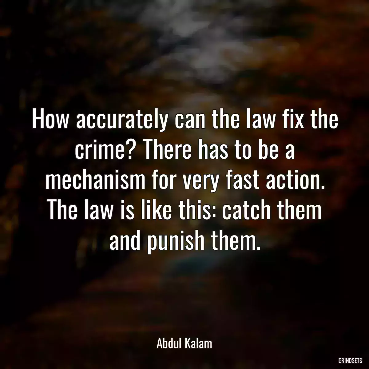 How accurately can the law fix the crime? There has to be a mechanism for very fast action. The law is like this: catch them and punish them.