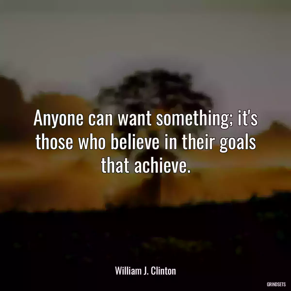 Anyone can want something; it\'s those who believe in their goals that achieve.