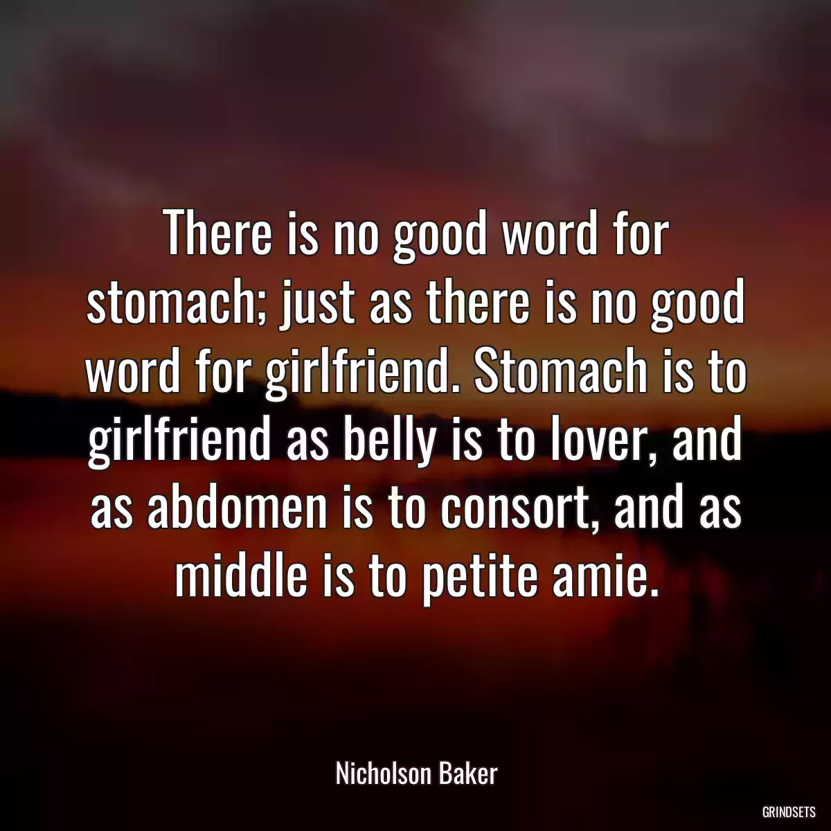 There is no good word for stomach; just as there is no good word for girlfriend. Stomach is to girlfriend as belly is to lover, and as abdomen is to consort, and as middle is to petite amie.