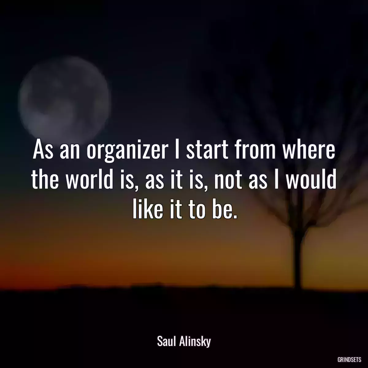 As an organizer I start from where the world is, as it is, not as I would like it to be.