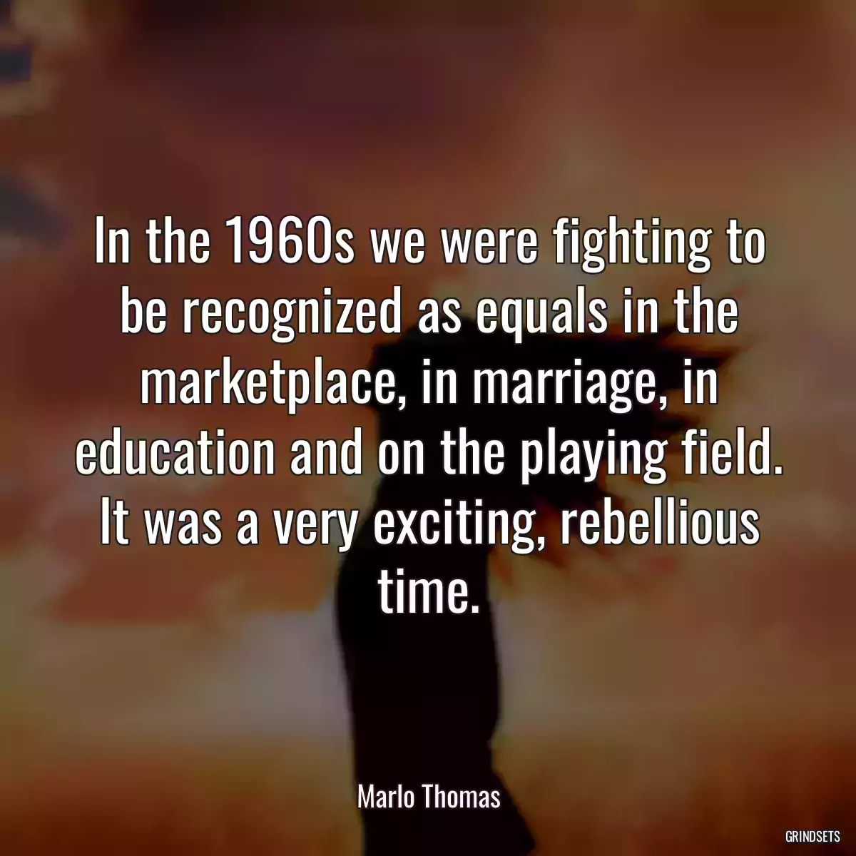 In the 1960s we were fighting to be recognized as equals in the marketplace, in marriage, in education and on the playing field. It was a very exciting, rebellious time.