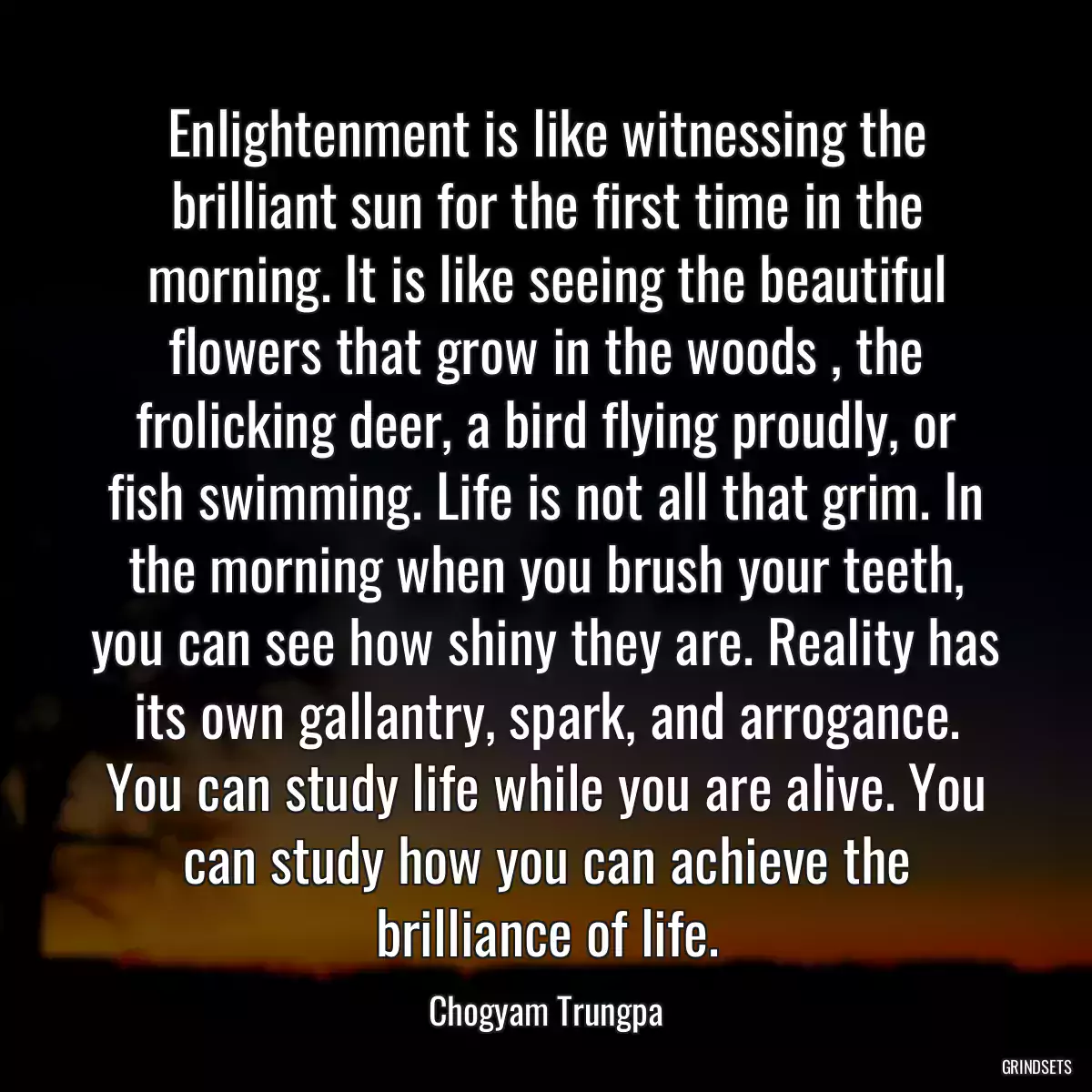 Enlightenment is like witnessing the brilliant sun for the first time in the morning. It is like seeing the beautiful flowers that grow in the woods , the frolicking deer, a bird flying proudly, or fish swimming. Life is not all that grim. In the morning when you brush your teeth, you can see how shiny they are. Reality has its own gallantry, spark, and arrogance. You can study life while you are alive. You can study how you can achieve the brilliance of life.