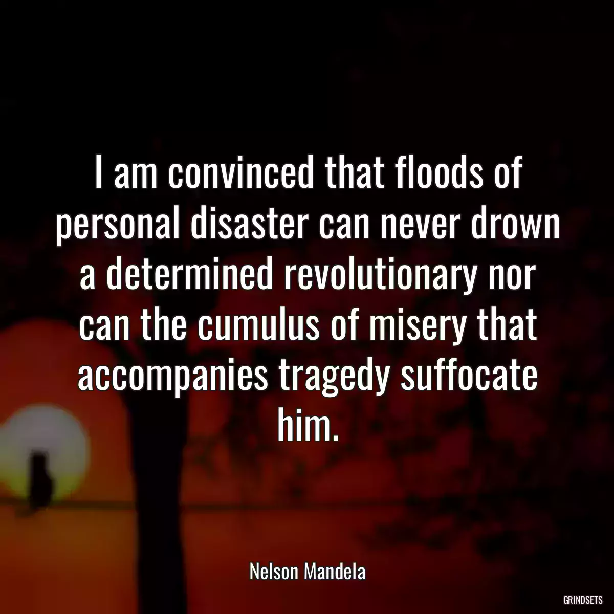 I am convinced that floods of personal disaster can never drown a determined revolutionary nor can the cumulus of misery that accompanies tragedy suffocate him.