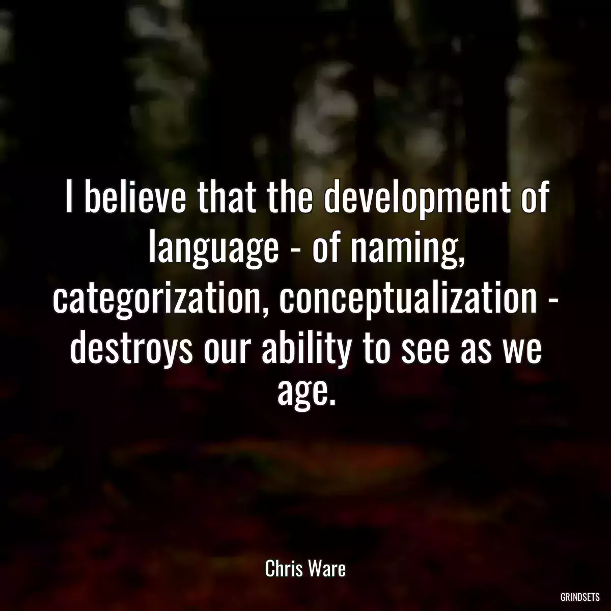 I believe that the development of language - of naming, categorization, conceptualization - destroys our ability to see as we age.