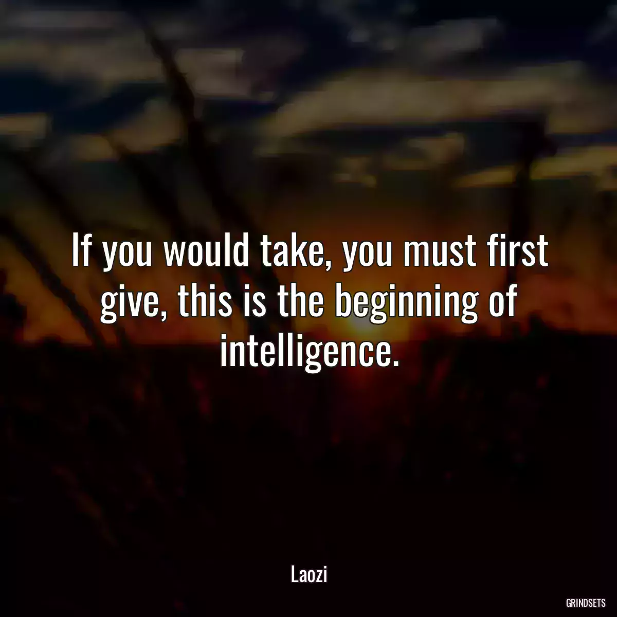 If you would take, you must first give, this is the beginning of intelligence.