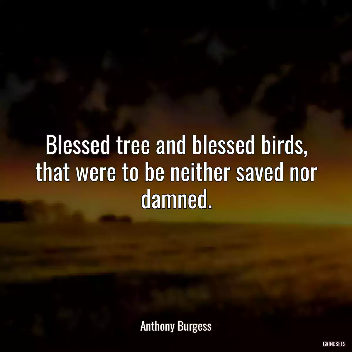 Blessed tree and blessed birds, that were to be neither saved nor damned.