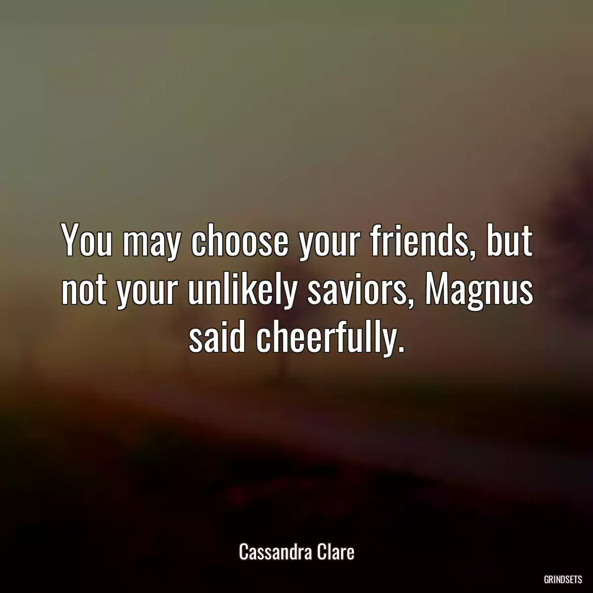 You may choose your friends, but not your unlikely saviors, Magnus said cheerfully.