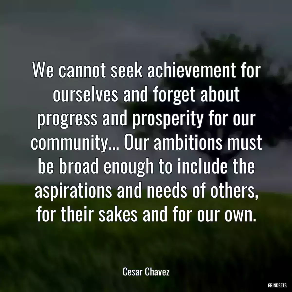 We cannot seek achievement for ourselves and forget about progress and prosperity for our community... Our ambitions must be broad enough to include the aspirations and needs of others, for their sakes and for our own.