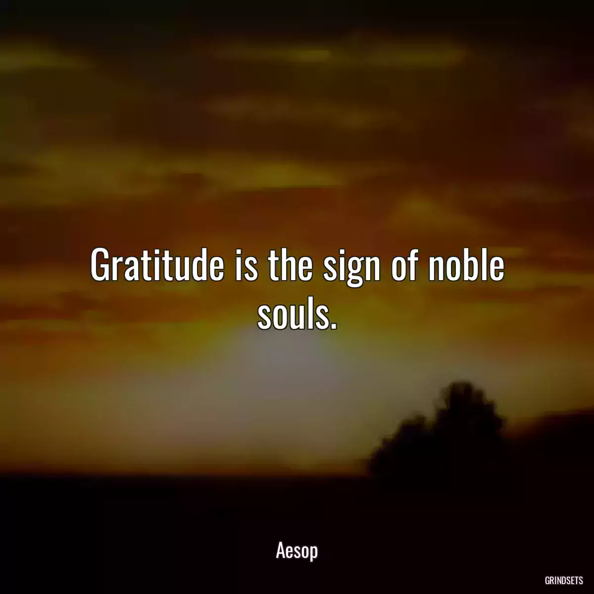 Gratitude is the sign of noble souls.