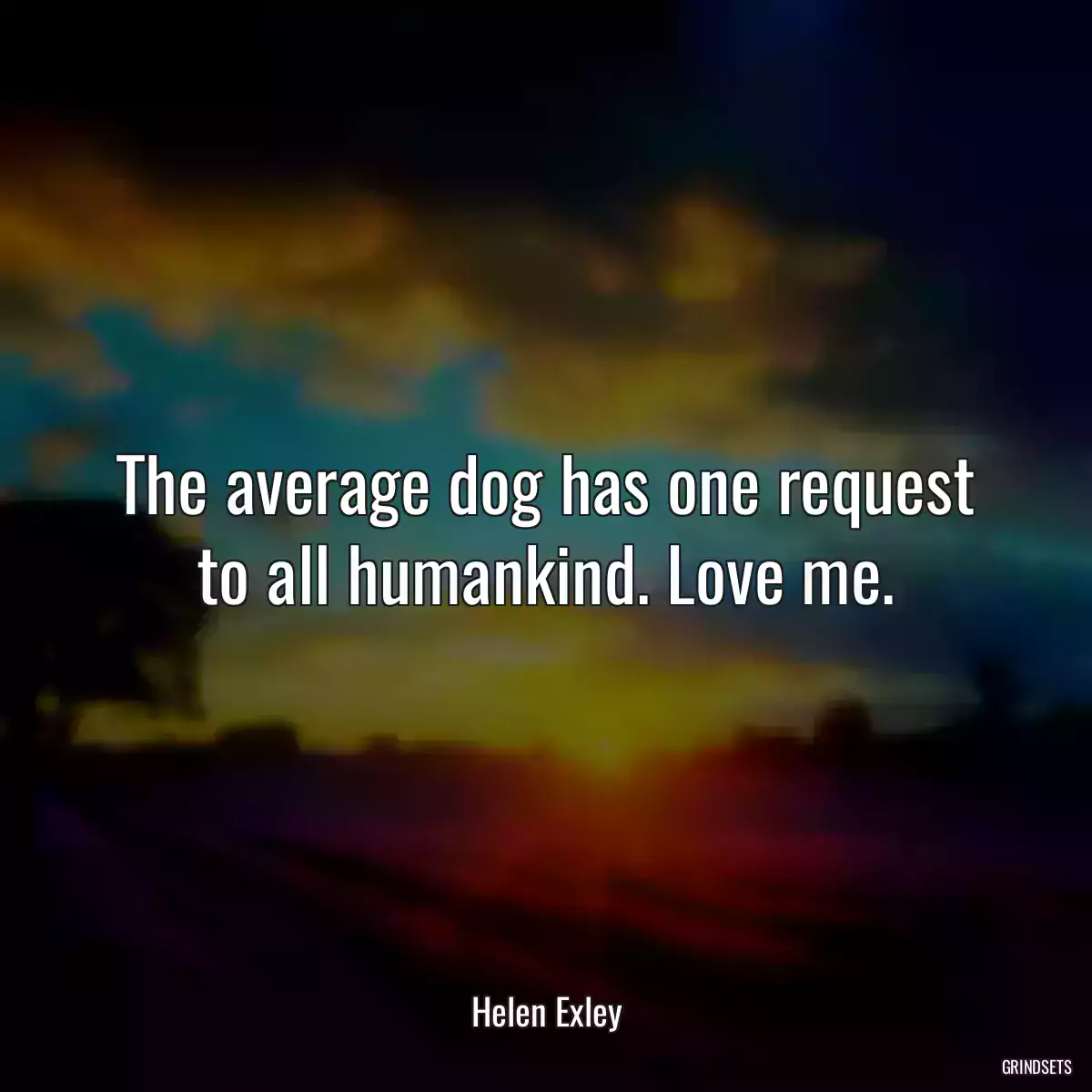 The average dog has one request to all humankind. Love me.